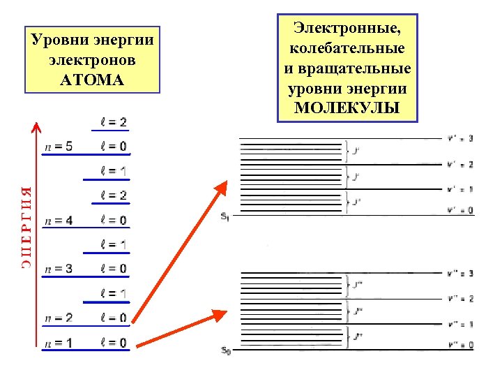Уровни энергии электронов АТОМА Электронные, колебательные и вращательные уровни энергии МОЛЕКУЛЫ 