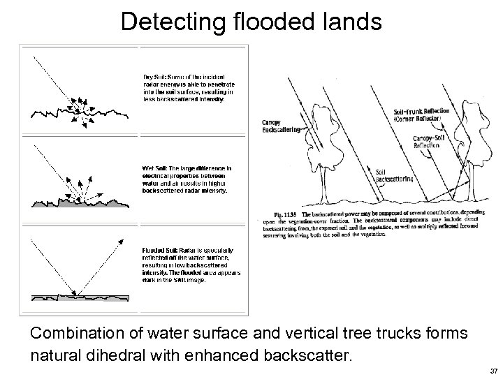 Detecting flooded lands Combination of water surface and vertical tree trucks forms natural dihedral