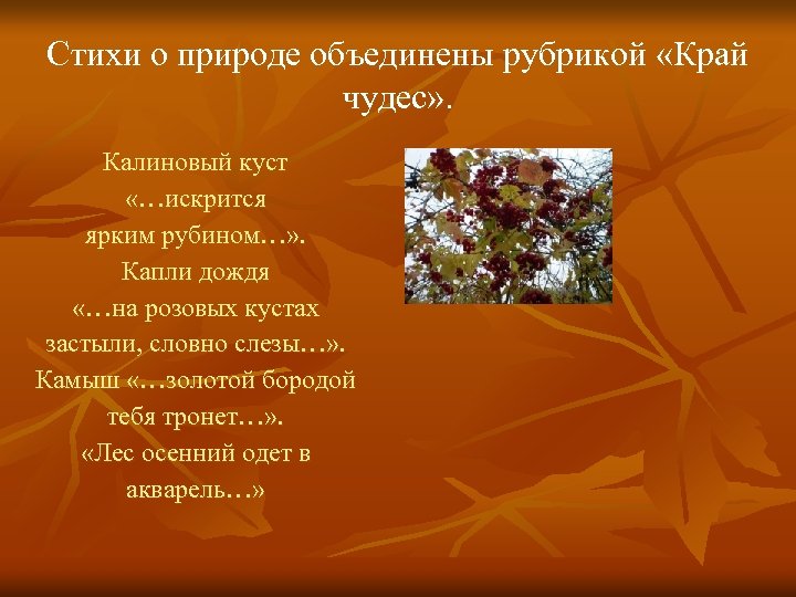 Стихи о природе объединены рубрикой «Край чудес» . Калиновый куст «…искрится ярким рубином…» .