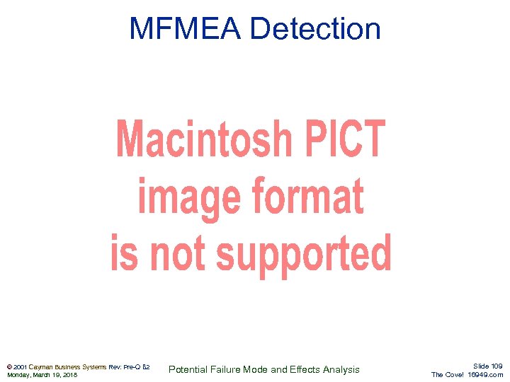 MFMEA Detection © 2001 Cayman Business Systems Rev: Pre-Q ß 2 Monday, March 19,