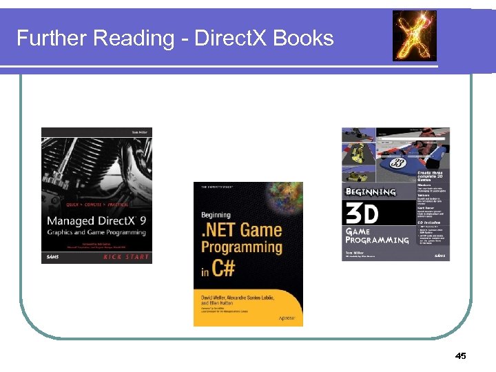 Further Reading - Direct. X Books 45 