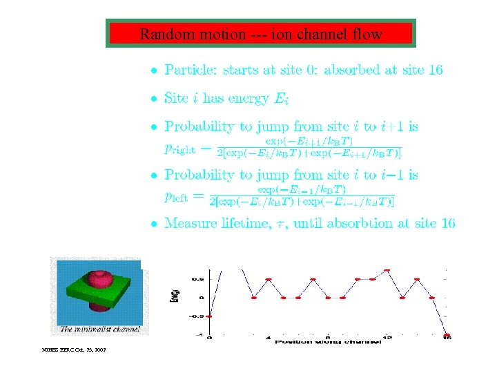 Random motion --- ion channel flow NIHES EERC Oct. 25, 2002 