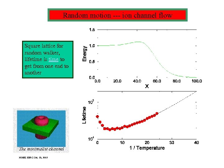 Random motion --- ion channel flow Square lattice for random walker, lifetime is time