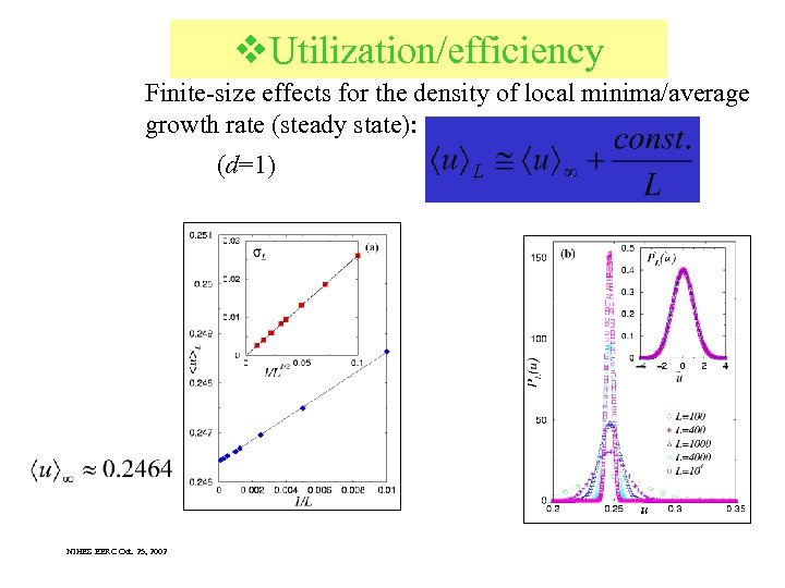 v. Utilization/efficiency Finite-size effects for the density of local minima/average growth rate (steady state):