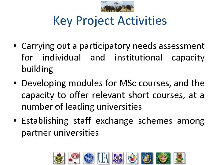 Key Project Activities • Carrying out a participatory needs assessment for individual and institutional
