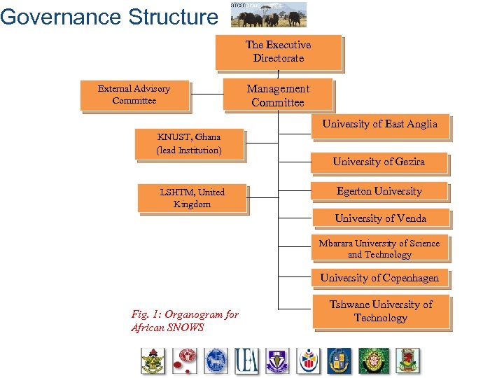 Governance Structure The African SNOWS Consortium is made up of 9 institutions from 7
