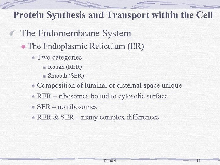 Protein Synthesis and Transport within the Cell The Endomembrane System The Endoplasmic Reticulum (ER)