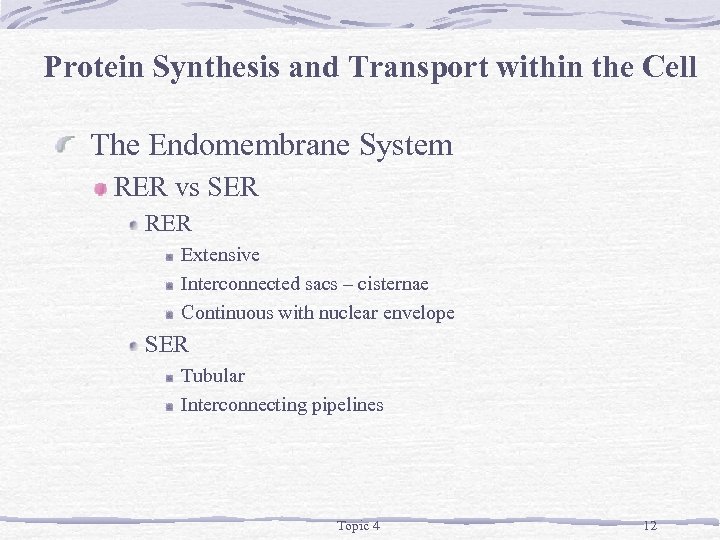 Protein Synthesis and Transport within the Cell The Endomembrane System RER vs SER RER