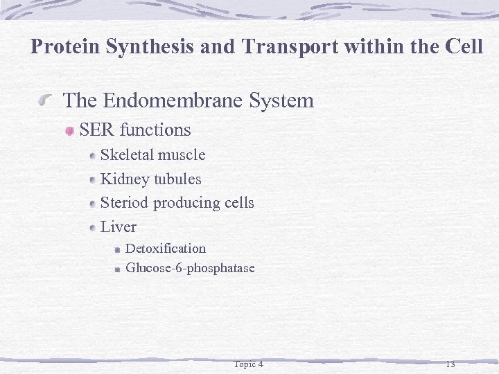 Protein Synthesis and Transport within the Cell The Endomembrane System SER functions Skeletal muscle