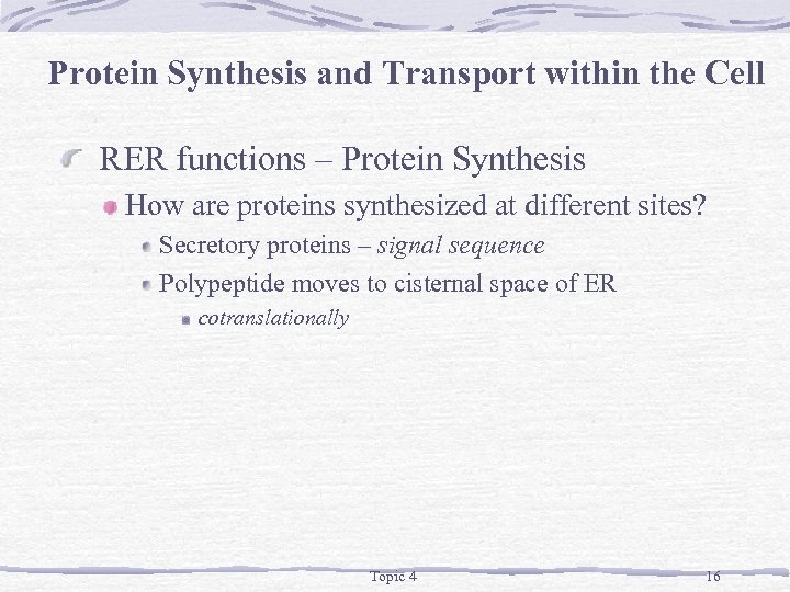 Protein Synthesis and Transport within the Cell RER functions – Protein Synthesis How are