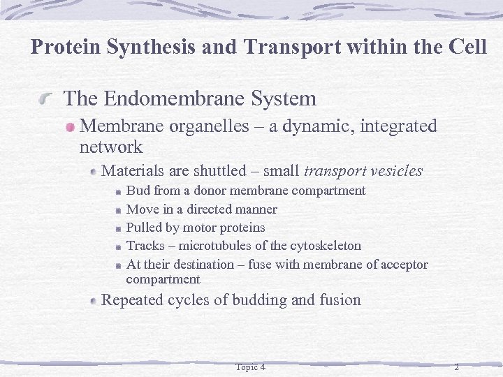 Protein Synthesis and Transport within the Cell The Endomembrane System Membrane organelles – a