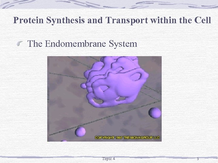 Protein Synthesis and Transport within the Cell The Endomembrane System Topic 4 3 