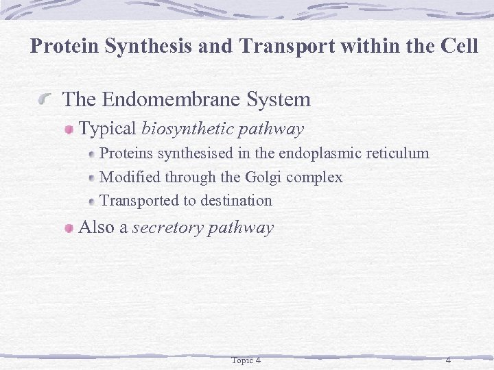 Protein Synthesis and Transport within the Cell The Endomembrane System Typical biosynthetic pathway Proteins