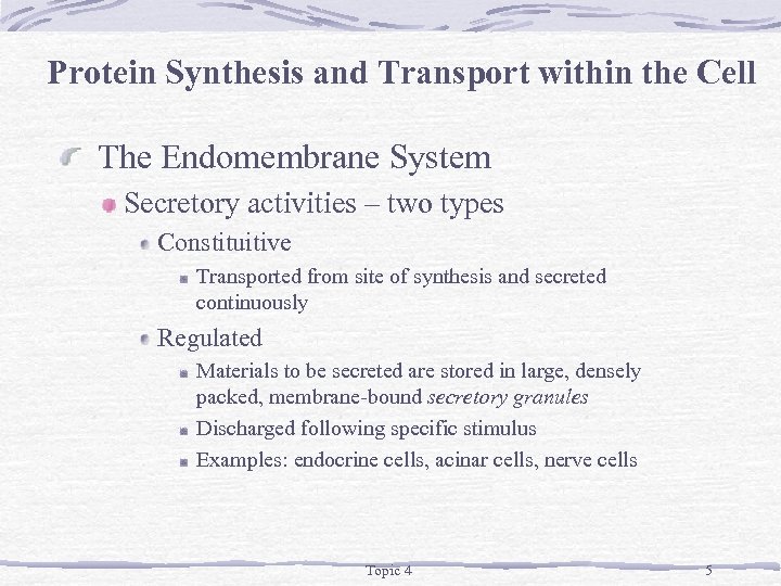 Protein Synthesis and Transport within the Cell The Endomembrane System Secretory activities – two