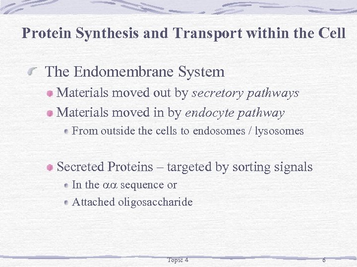 Protein Synthesis and Transport within the Cell The Endomembrane System Materials moved out by