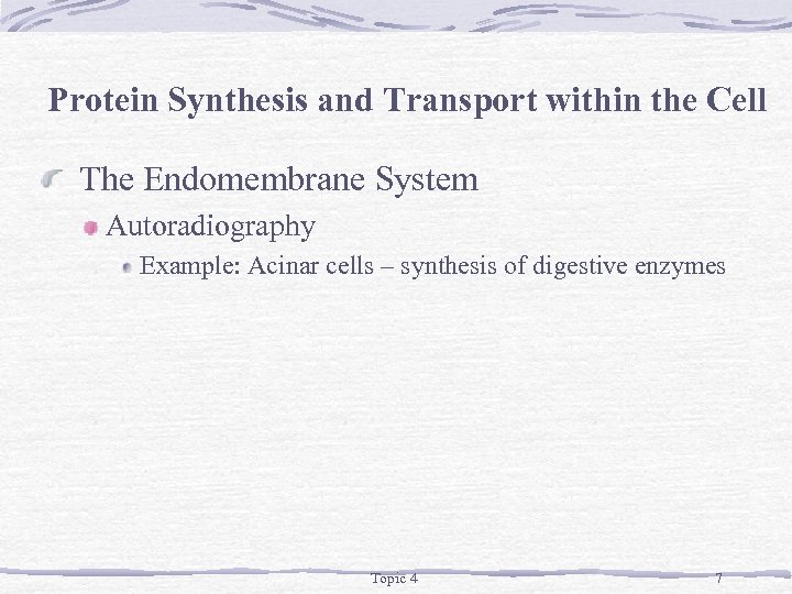 Protein Synthesis and Transport within the Cell The Endomembrane System Autoradiography Example: Acinar cells