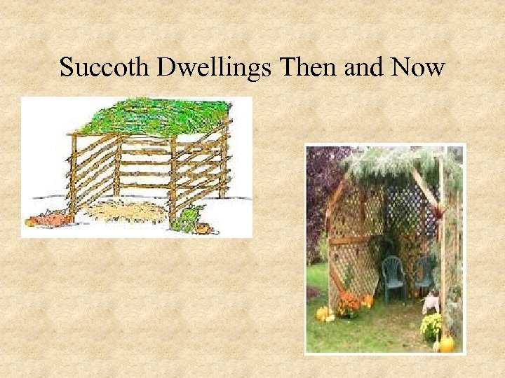 Succoth Dwellings Then and Now 