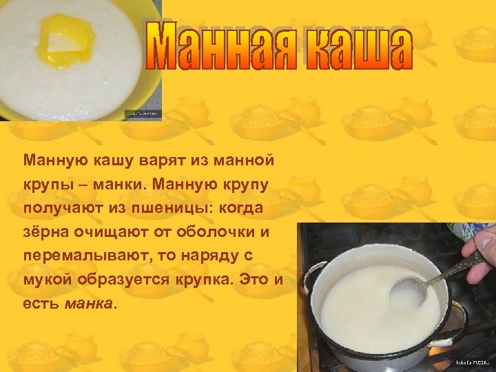 Манную кашу варят из манной крупы – манки. Манную крупу получают из пшеницы: когда