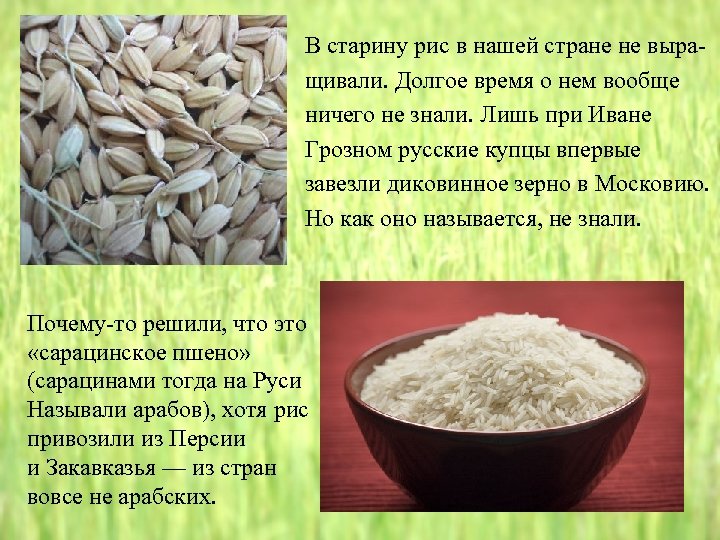 В старину рис в нашей стране не выращивали. Долгое время о нем вообще ничего