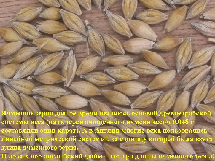 Ячменное зерно долгое время являлось основой древнеарабской системы веса (пять зерен очищенного ячменя весом