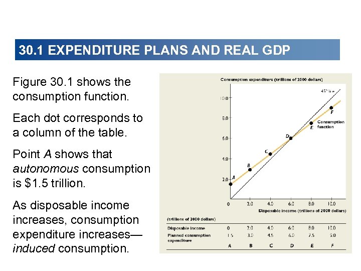 30. 1 EXPENDITURE PLANS AND REAL GDP Figure 30. 1 shows the consumption function.