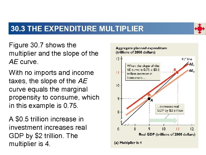30. 3 THE EXPENDITURE MULTIPLIER Figure 30. 7 shows the multiplier and the slope