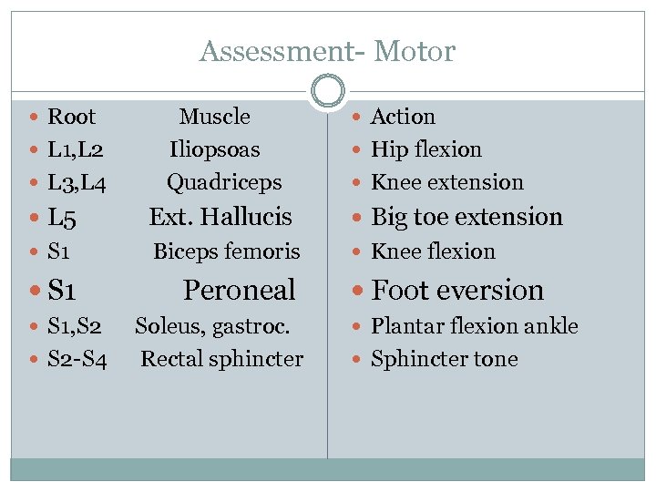 Assessment- Motor Root L 1, L 2 L 3, L 4 Muscle Iliopsoas Quadriceps