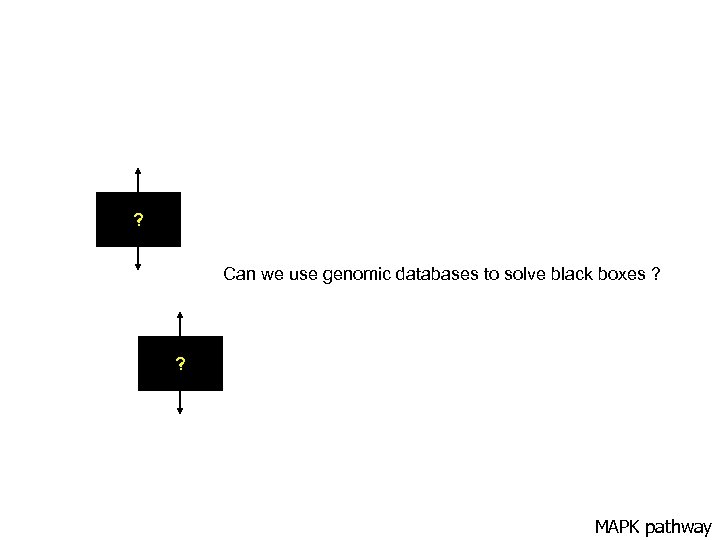 ? Can we use genomic databases to solve black boxes ? ? MAPK pathway