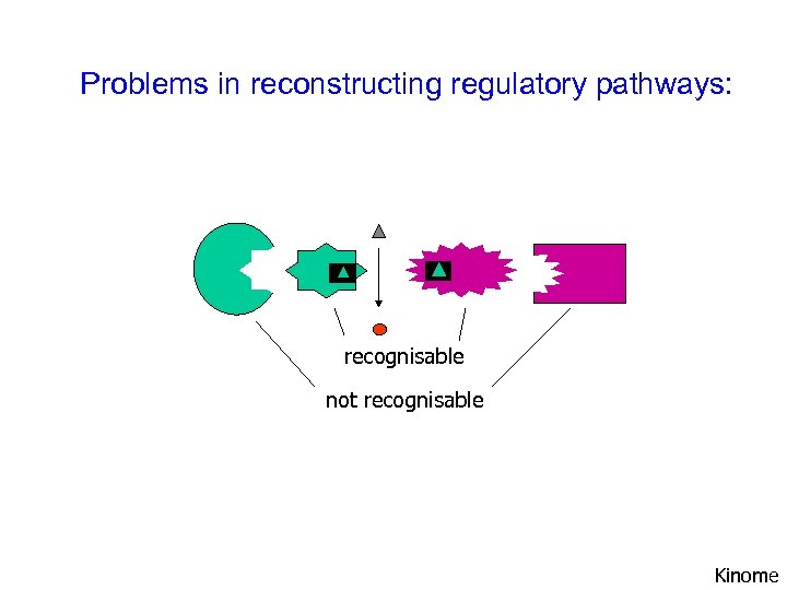 Problems in reconstructing regulatory pathways: recognisable not recognisable Kinome 