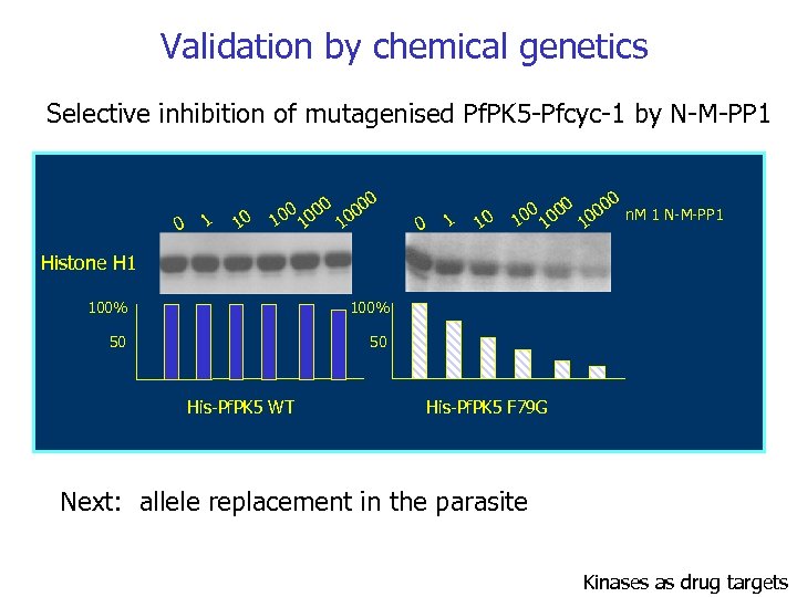 Validation by chemical genetics Selective inhibition of mutagenised Pf. PK 5 -Pfcyc-1 by N-M-PP