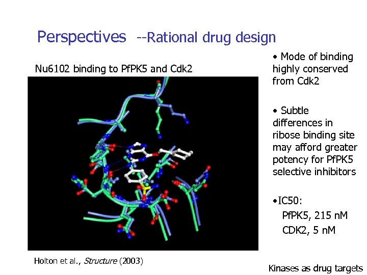 Perspectives --Rational drug design Nu 6102 binding to Pf. PK 5 and Cdk 2
