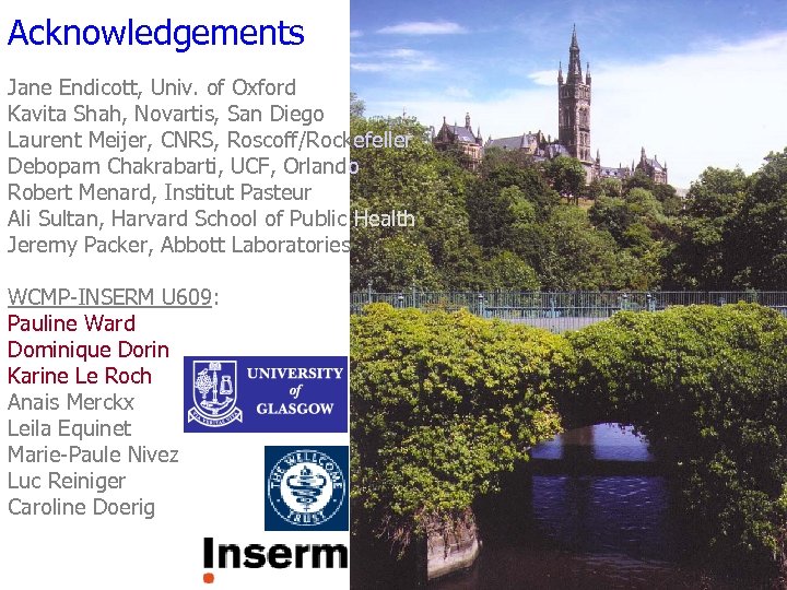 Acknowledgements Jane Endicott, Univ. of Oxford Kavita Shah, Novartis, San Diego Laurent Meijer, CNRS,