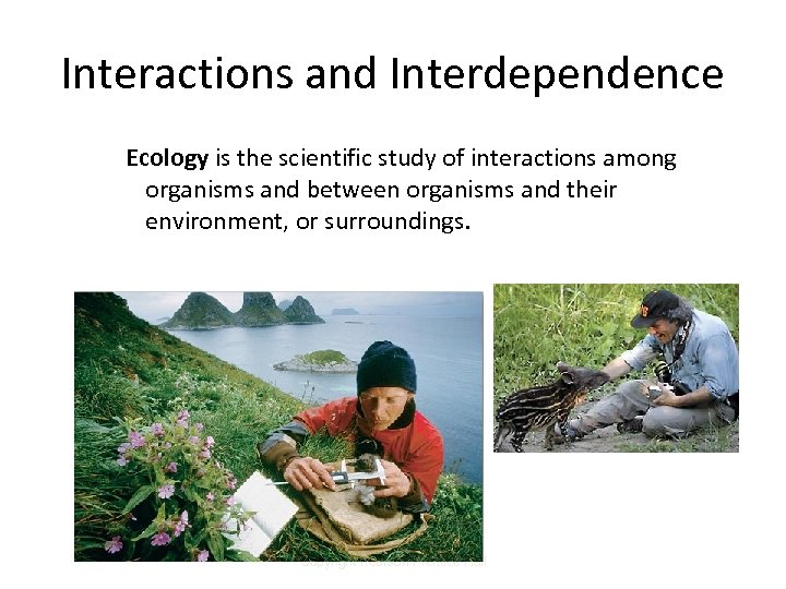Interactions and Interdependence Ecology is the scientific study of interactions among organisms and between
