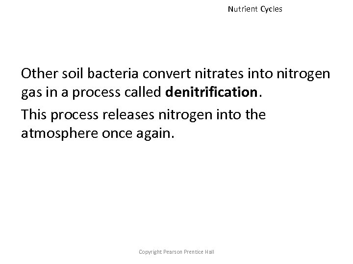 Nutrient Cycles Other soil bacteria convert nitrates into nitrogen gas in a process called