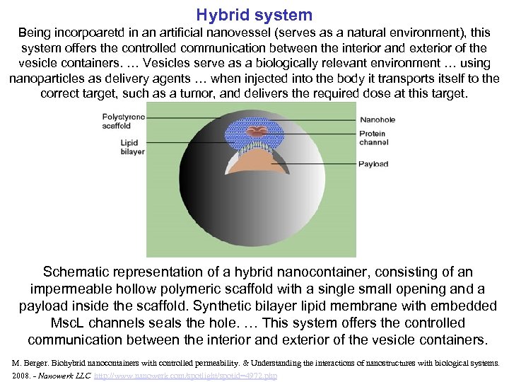 Hybrid system Being incorpoaretd in an artificial nanovessel (serves as a natural environment), this