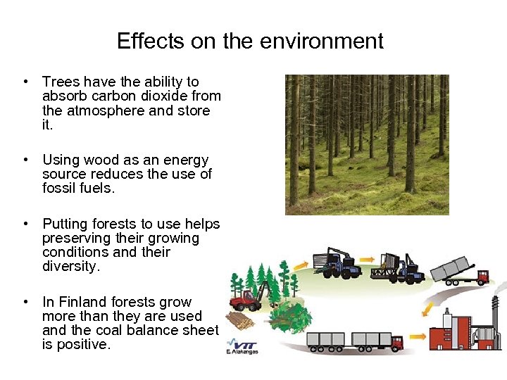 Effects on the environment • Trees have the ability to absorb carbon dioxide from