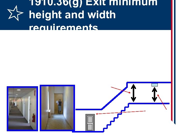 1910. 36(g) Exit minimum height and width requirements 