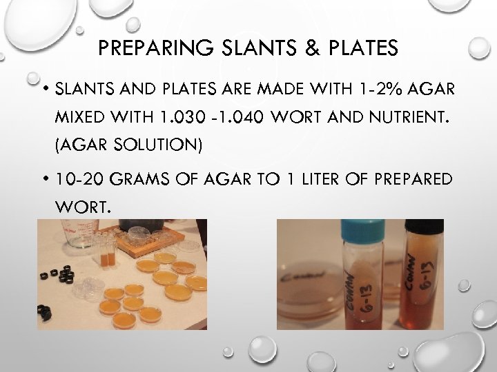 PREPARING SLANTS & PLATES • SLANTS AND PLATES ARE MADE WITH 1 -2% AGAR