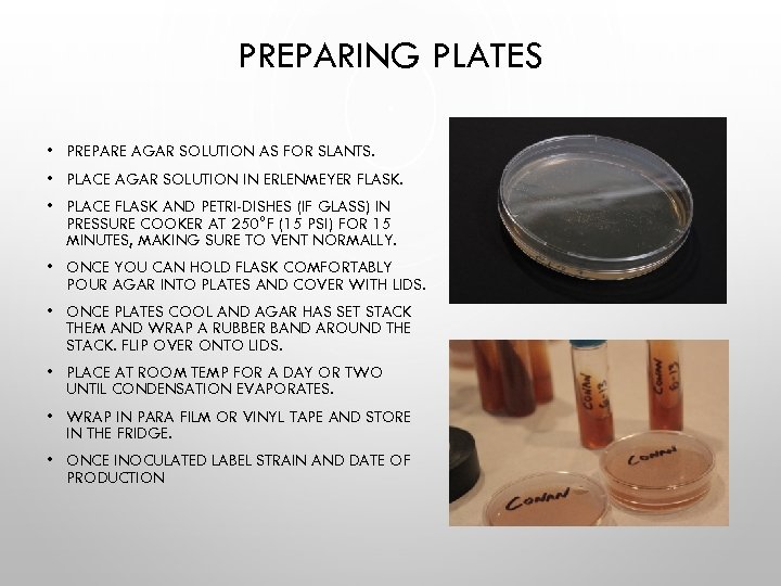 PREPARING PLATES • PREPARE AGAR SOLUTION AS FOR SLANTS. • PLACE AGAR SOLUTION IN
