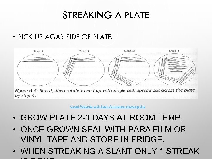 STREAKING A PLATE • PICK UP AGAR SIDE OF PLATE. Great Website with flash