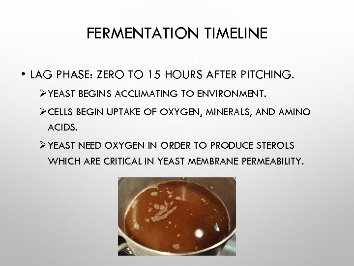 FERMENTATION TIMELINE • LAG PHASE: ZERO TO 15 HOURS AFTER PITCHING. ØYEAST BEGINS ACCLIMATING