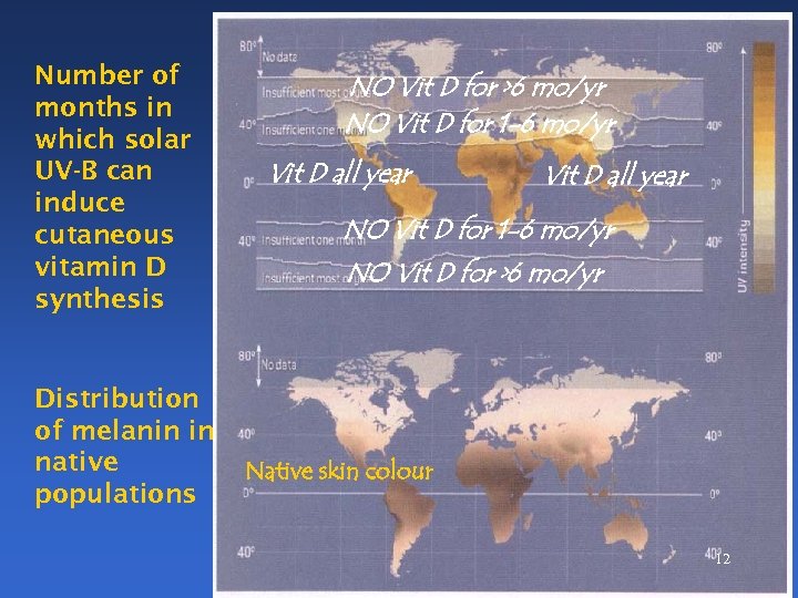 Number of months in which solar UV-B can induce cutaneous vitamin D synthesis Distribution