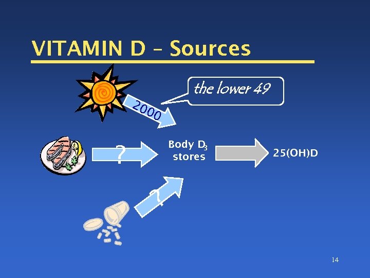 VITAMIN D – Sources the lower 49 20 00 Body D 3 stores ?