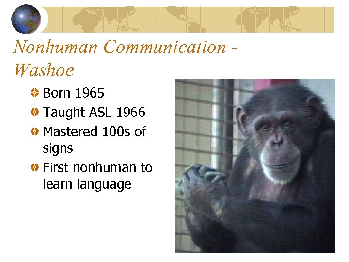 Nonhuman Communication Washoe Born 1965 Taught ASL 1966 Mastered 100 s of signs First