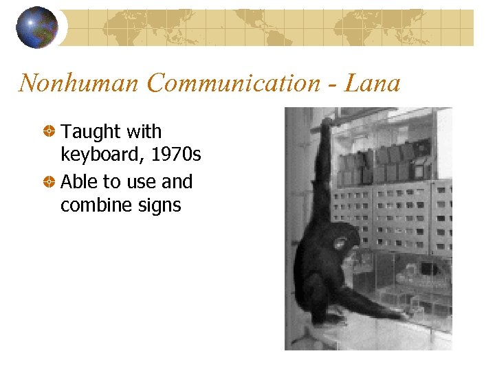 Nonhuman Communication - Lana Taught with keyboard, 1970 s Able to use and combine