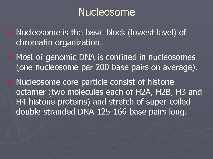 Nucleosome § Nucleosome is the basic block (lowest level) of chromatin organization. § Most