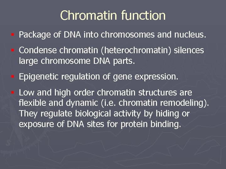 Chromatin function § Package of DNA into chromosomes and nucleus. § Condense chromatin (heterochromatin)