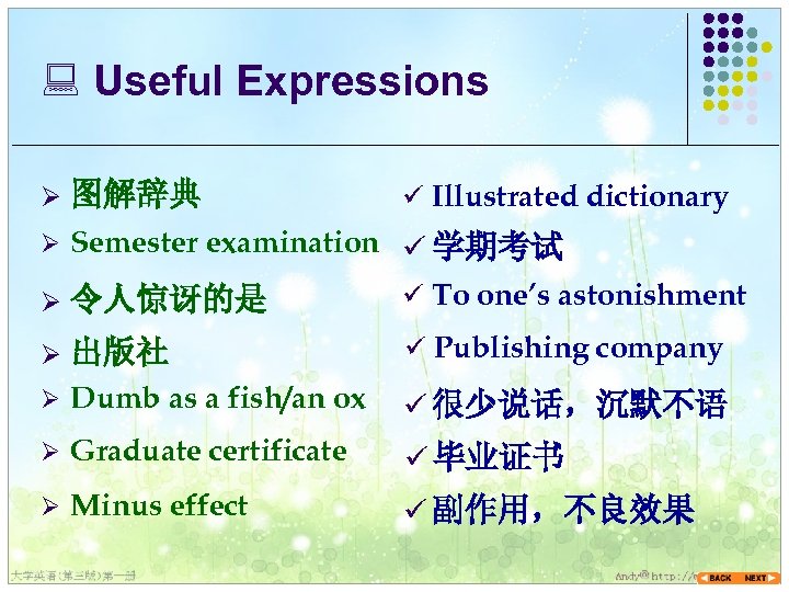 : Useful Expressions Ø 图解辞典 Ø Semester examination ü 学期考试 Ø 令人惊讶的是 ü To