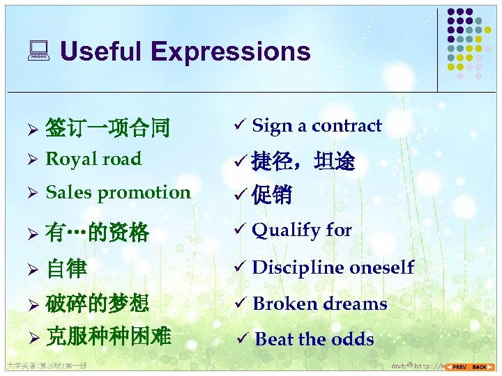: Useful Expressions Ø 签订一项合同 ü Sign a contract Ø Royal road ü 捷径，坦途