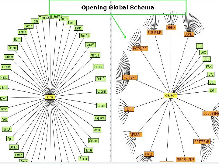 Opening Global Schema 